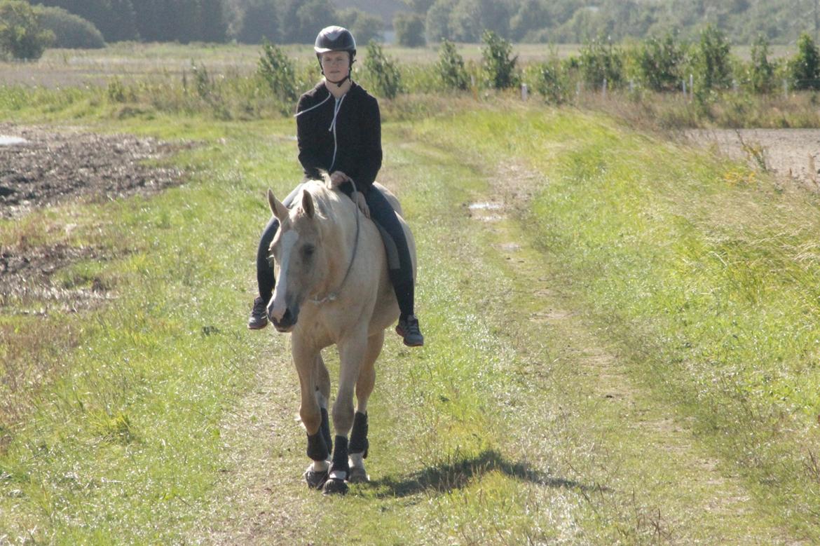 Anden særlig race Roosgårdens Chanta Lou billede 20