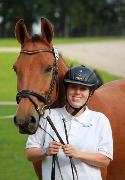 Anden særlig race Prins Charman ( Tidl hest) billede 12