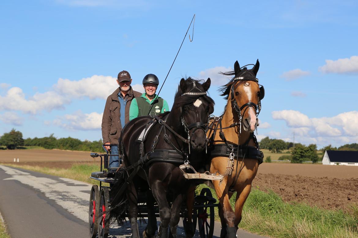 Anden særlig race Marinca R:I:P - Taget den 9/9-2015. Første gang de går 2-spand i 5 år og første gang sammen. Marinca og Holt. billede 19