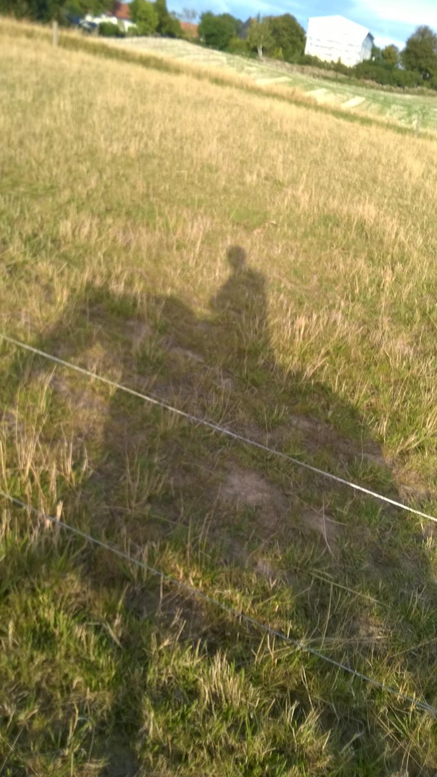 Traver Kalima joy joy. R.I.P billede 10