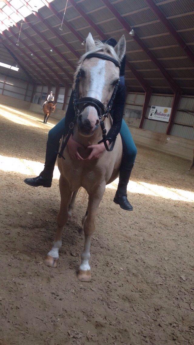 Anden særlig race Ane :-) billede 14