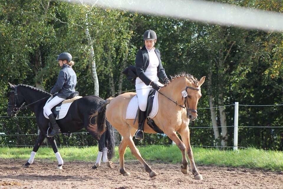 Anden særlig race Sally billede 8