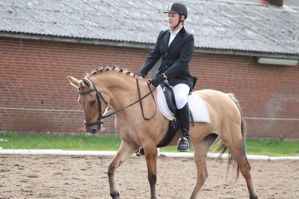 Anden særlig race Sally billede 3