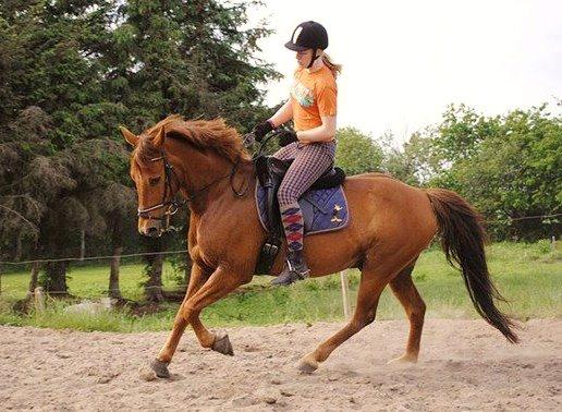 Anden særlig race Grønvangs Quinzy [R.I.P] billede 23