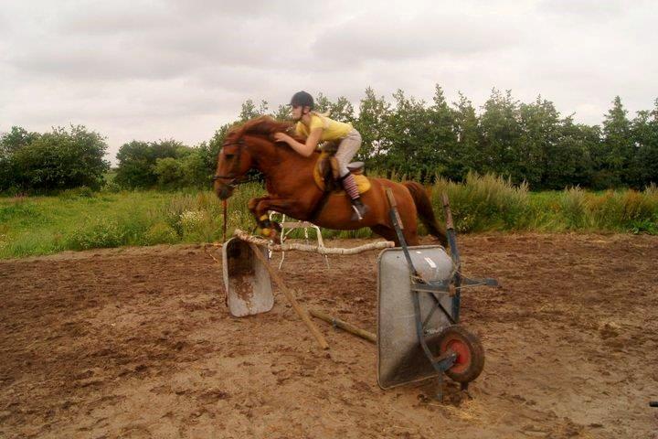 Anden særlig race Grønvangs Quinzy [R.I.P] billede 21