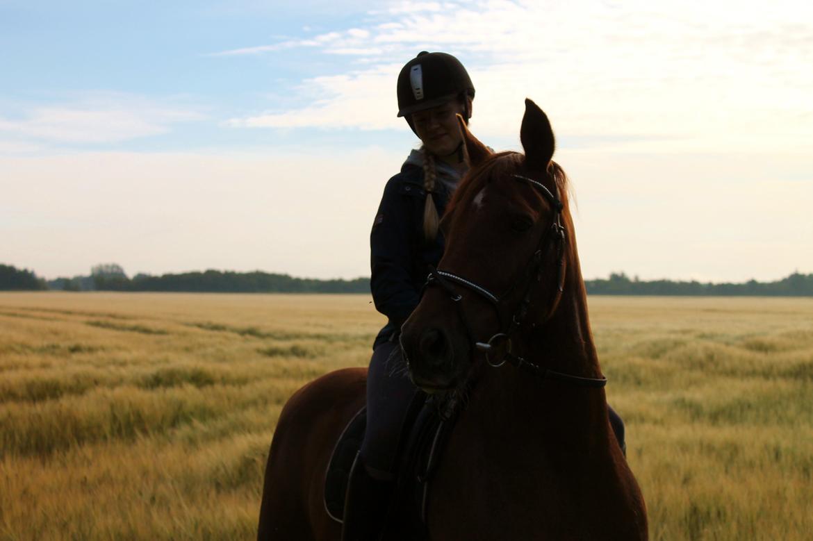 Anden særlig race Grønvangs Quinzy [R.I.P] billede 30