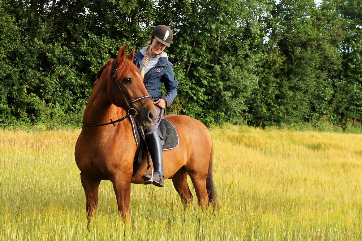 Anden særlig race Grønvangs Quinzy billede 6