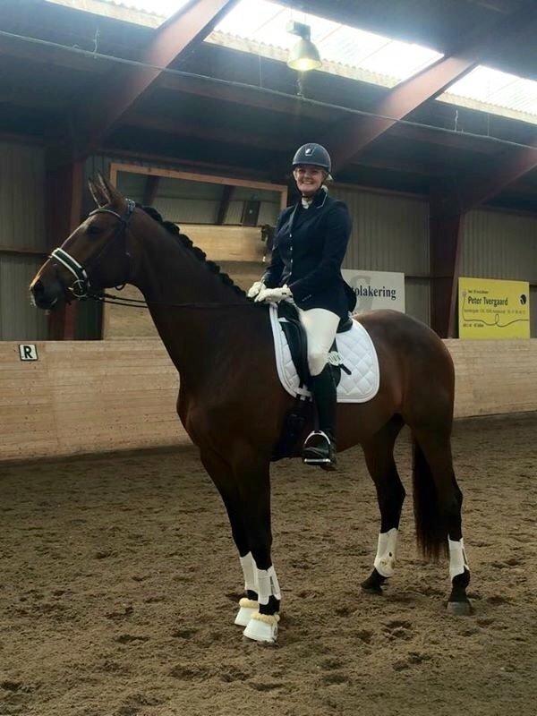 Dansk Varmblod Tankedals Hurricane billede 11