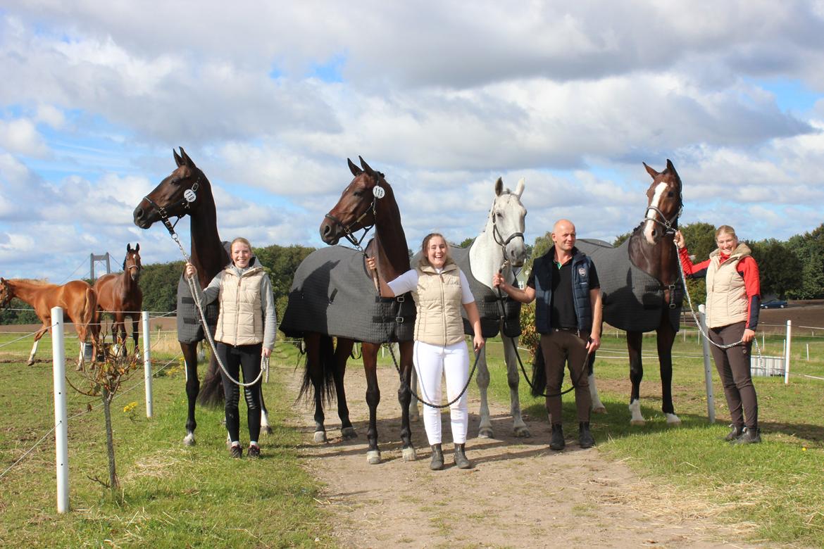 Trakehner M-speedy - DM for hold dressur 2015. Fra venstre, Speedy og mig, Afriel og Josephine, Topline og Dennis og Roberto og Anne. Samlet nr .11 til DM :-) billede 13