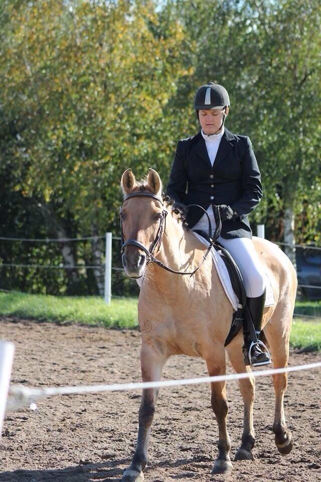 Anden særlig race Sally - Velkommen til Sally's profil billede 1