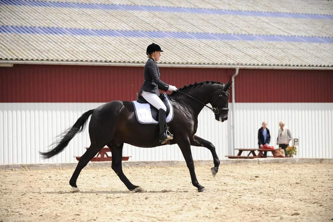 Oldenborg Bastian Af Regal - LA4, juni 2015 billede 11