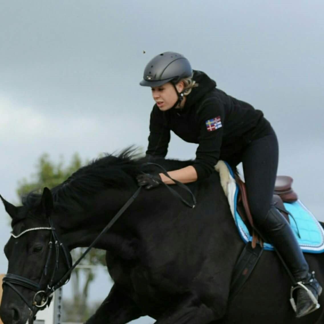 Oldenborg Bastian Af Regal - Springtræning, august 2015  billede 20