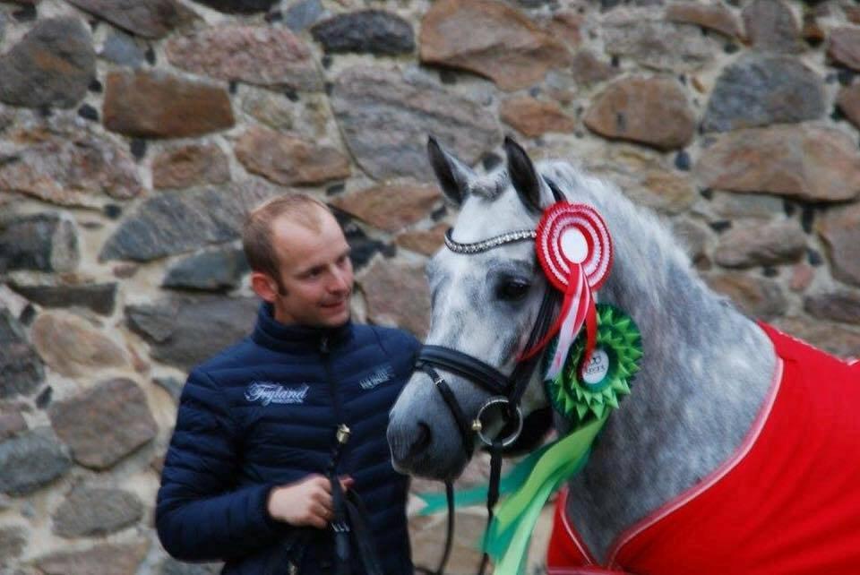 New Forest AB Jetstream billede 1