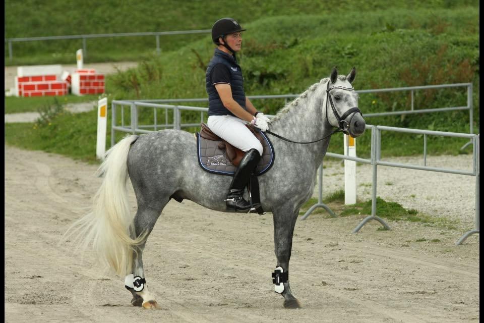 New Forest AB Jetstream billede 3