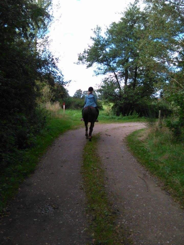 Anden særlig race Calina billede 5
