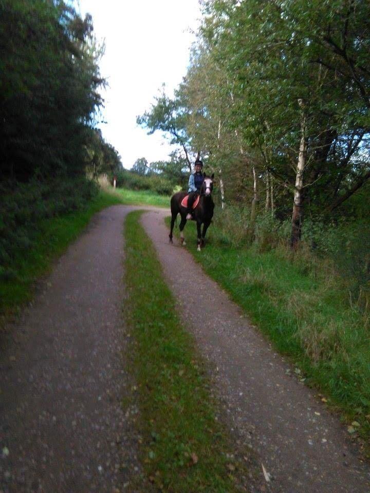 Anden særlig race Calina billede 6