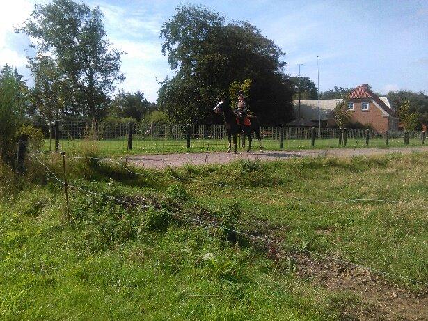 Anden særlig race Calina billede 7