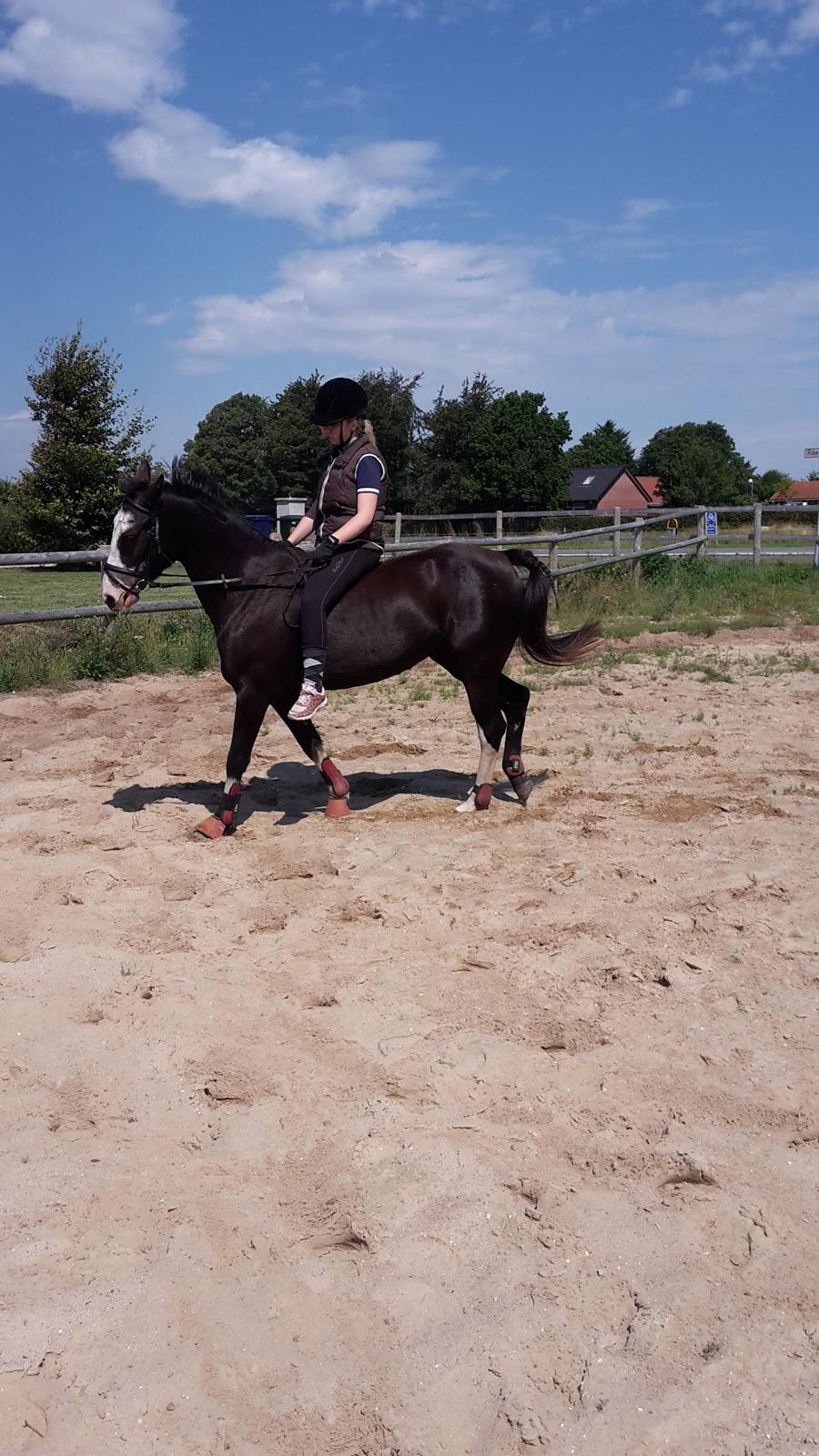 Anden særlig race Calina billede 8