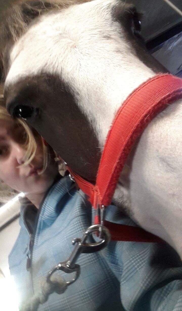 Anden særlig race Calina billede 9