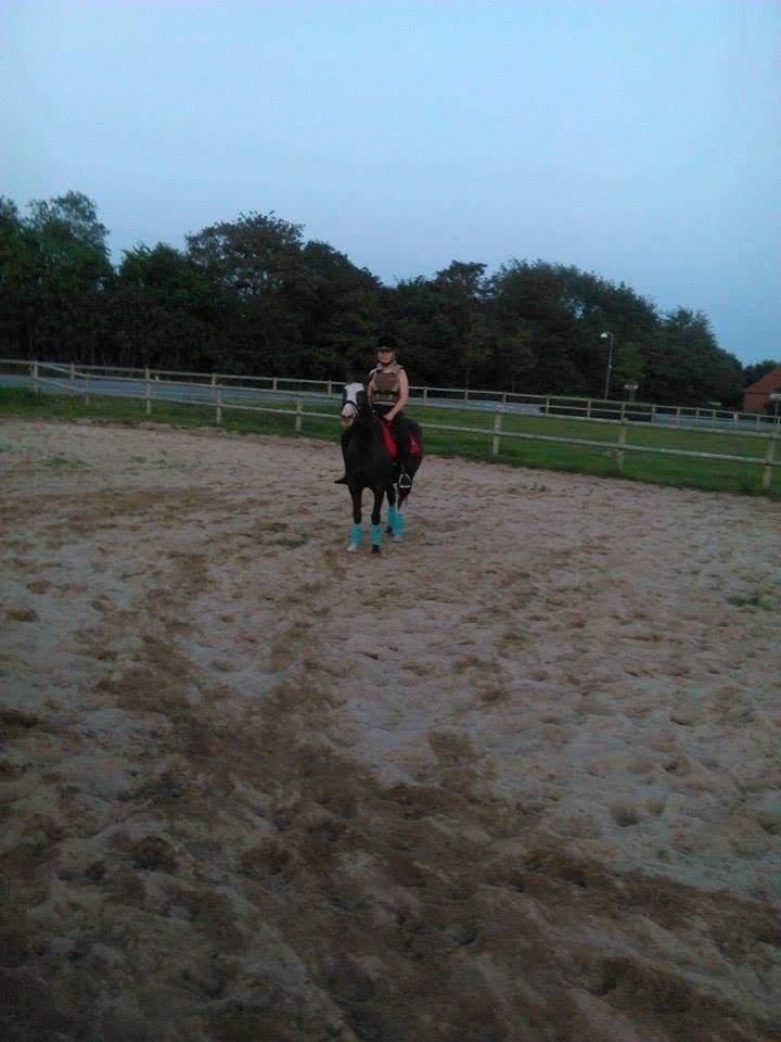 Anden særlig race Calina billede 10