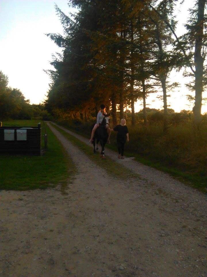 Anden særlig race Calina billede 12