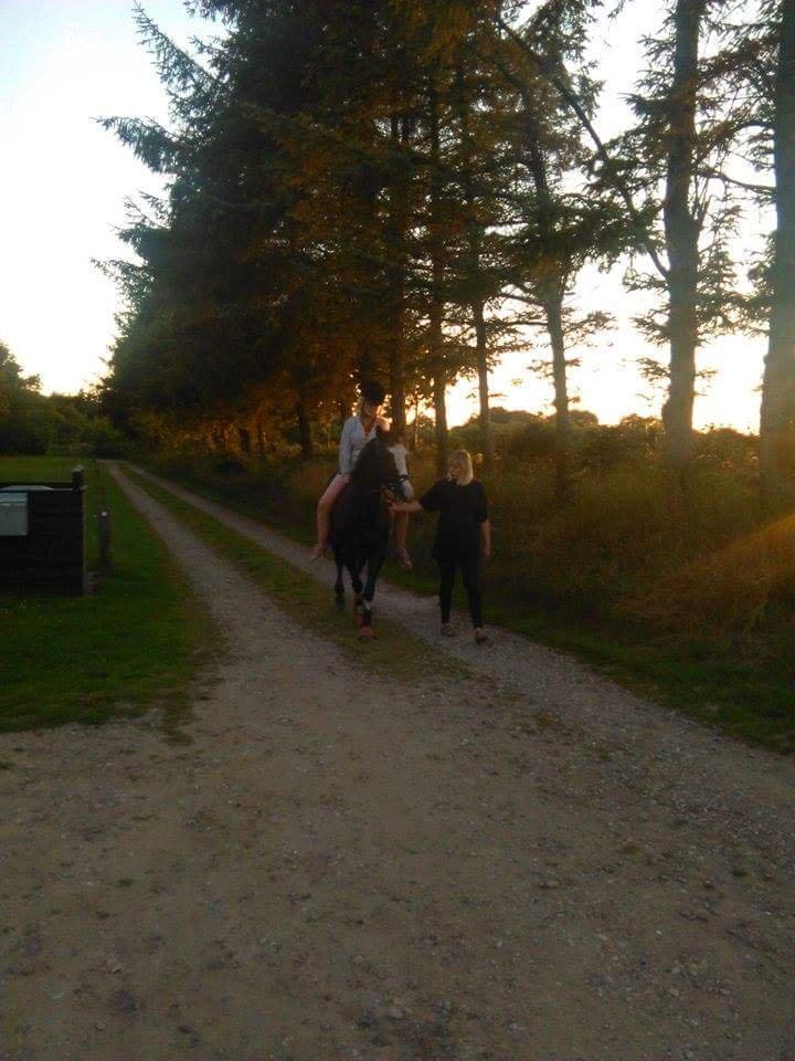 Anden særlig race Calina billede 13