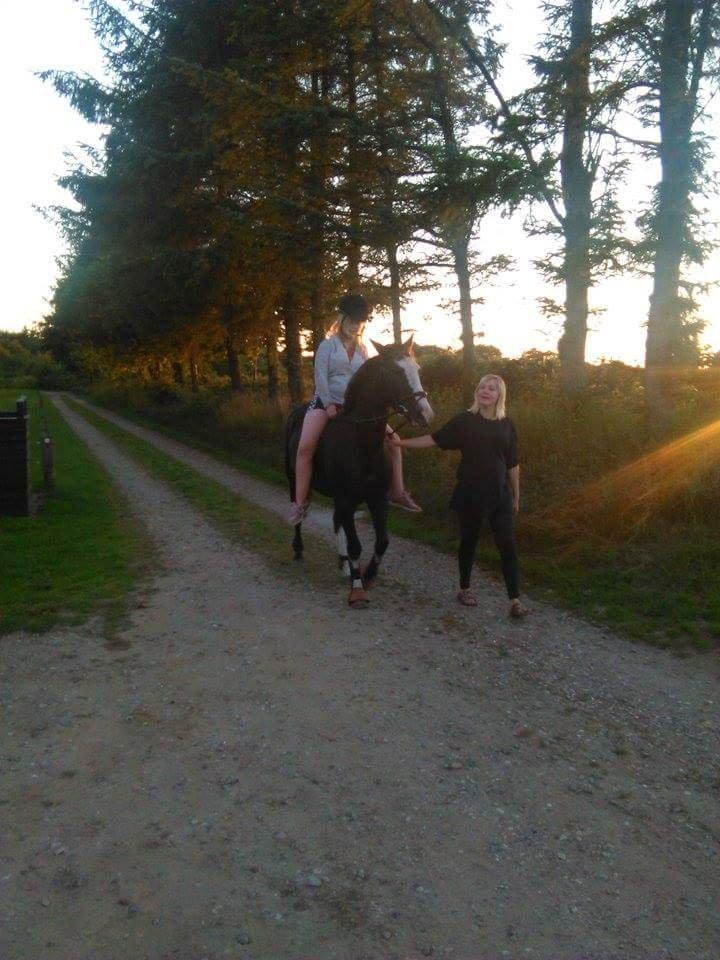 Anden særlig race Calina billede 14