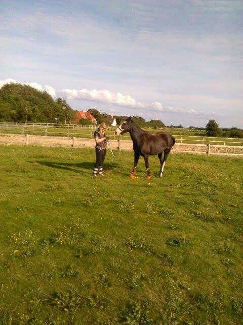 Anden særlig race Calina billede 18