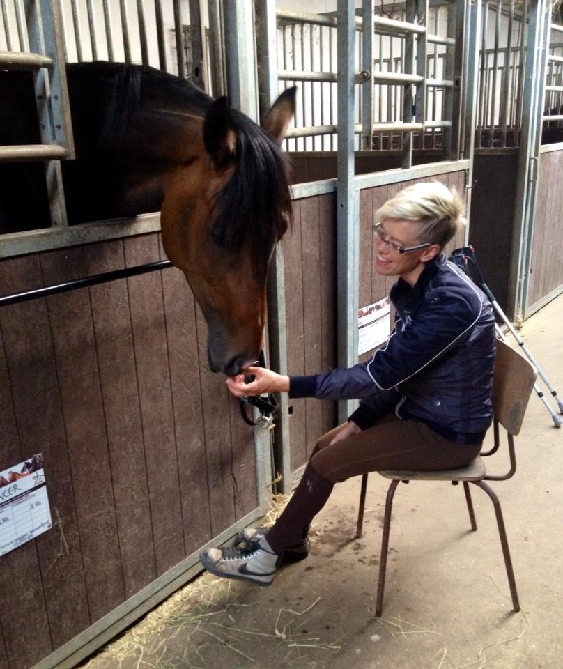 Dansk Varmblod Grandalgårds moon dancer billede 22