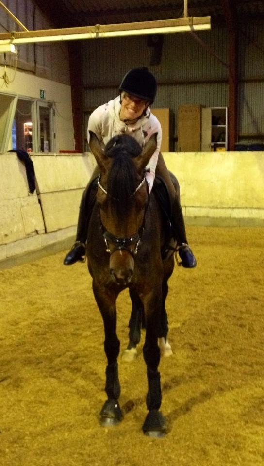 Dansk Varmblod Grandalgårds moon dancer billede 32