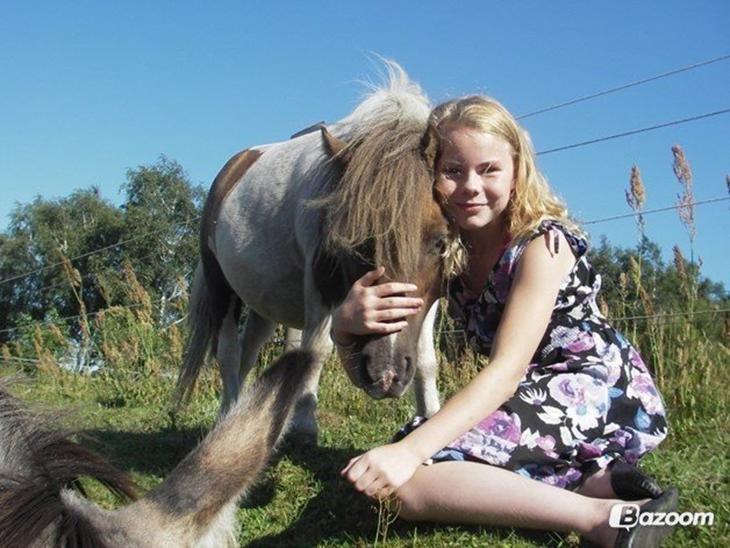 Shetlænder Billyboy <3 - Min! <3 billede 3