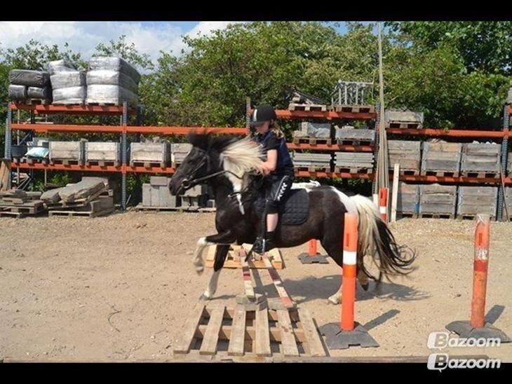 Anden særlig race Sorteper <3 - Spring! <3 billede 2