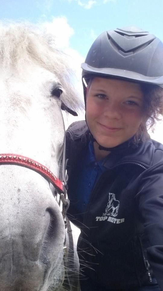 Islænder Disa fra Fruerlund *lånehest* billede 5