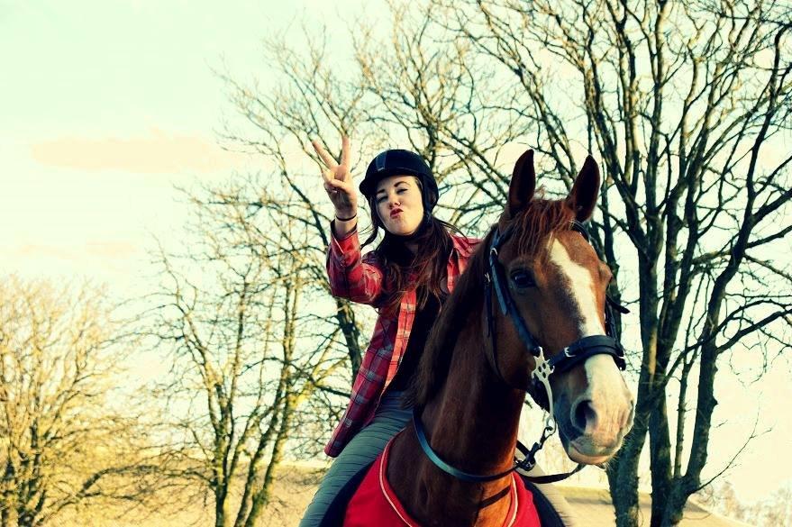 Anden særlig race Safir billede 2