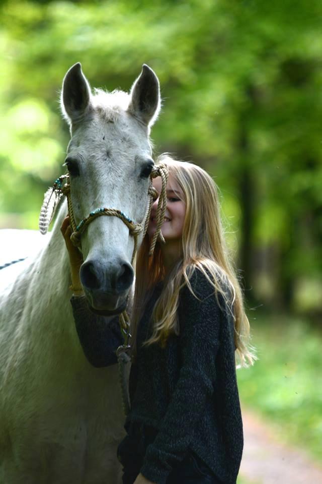 Anden særlig race Mon Cherie (Himmelhest) billede 2