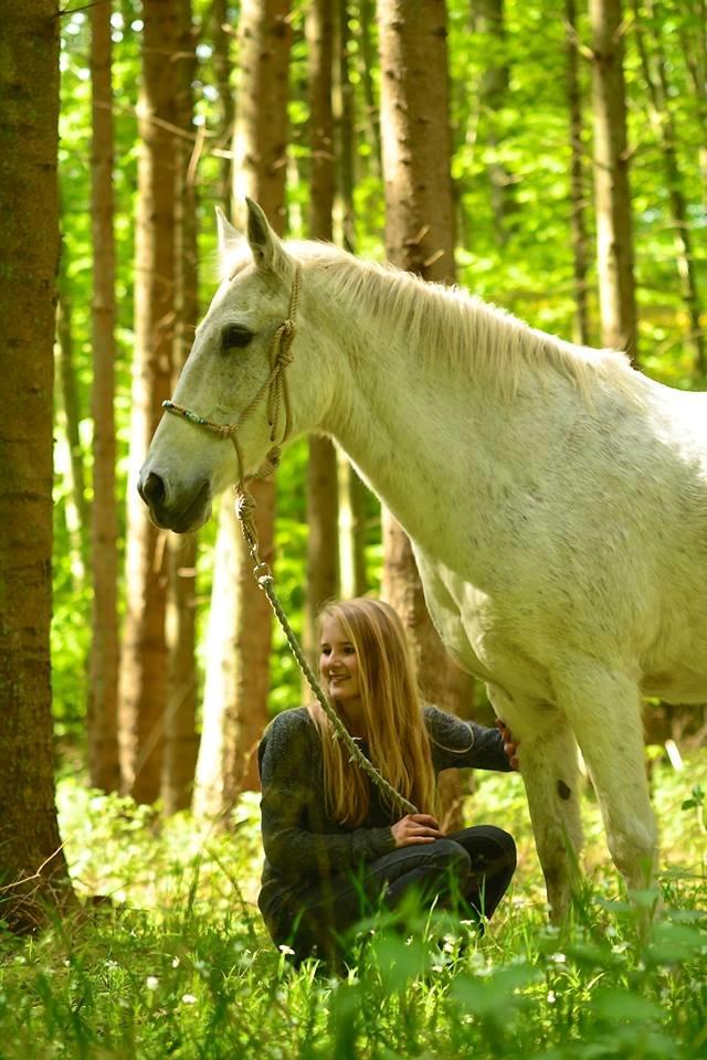 Anden særlig race Mon Cherie (Himmelhest) billede 5