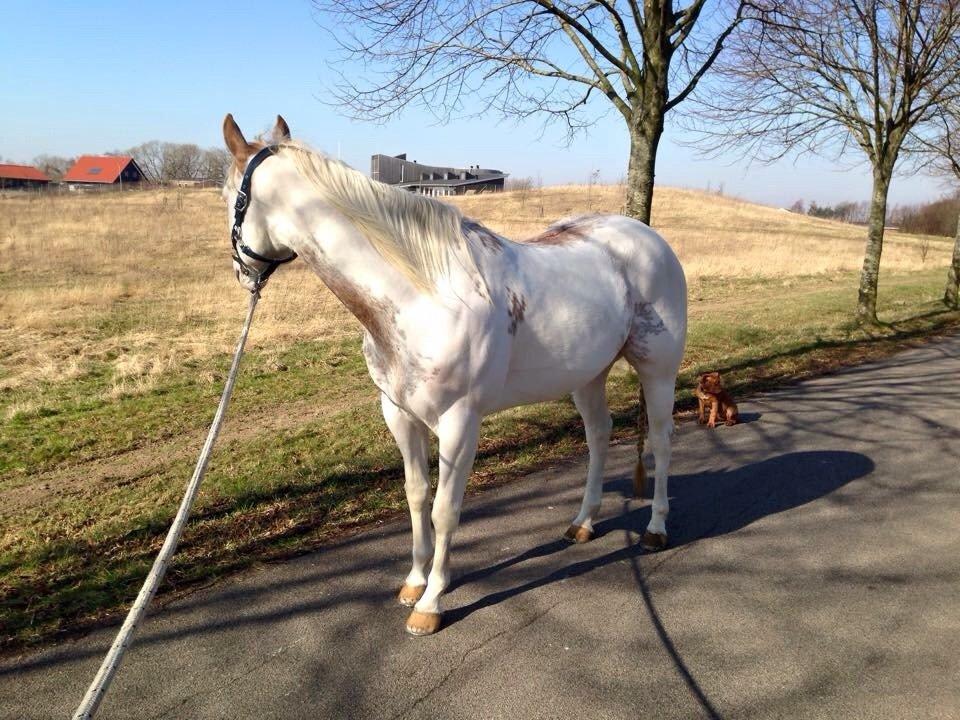 Paint Lee smart enough billede 34