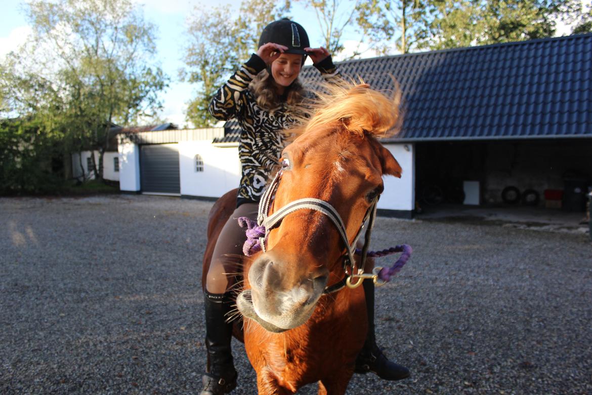 Anden særlig race Boris billede 10