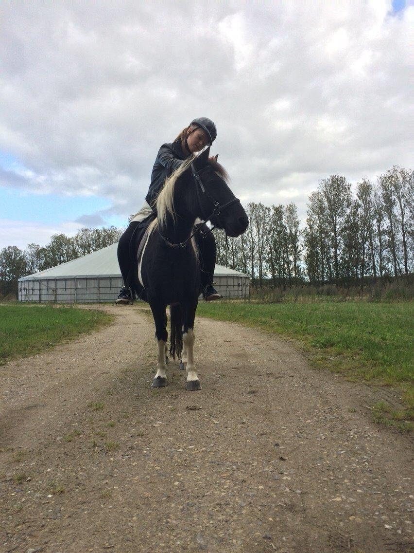 Anden særlig race Sorteper <3 - Halvparten billede 7