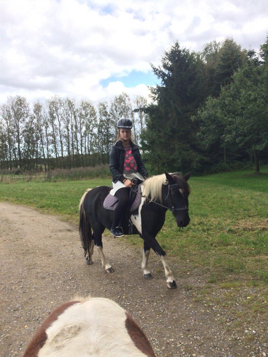 Anden særlig race Sorteper <3 - Halvparten billede 8