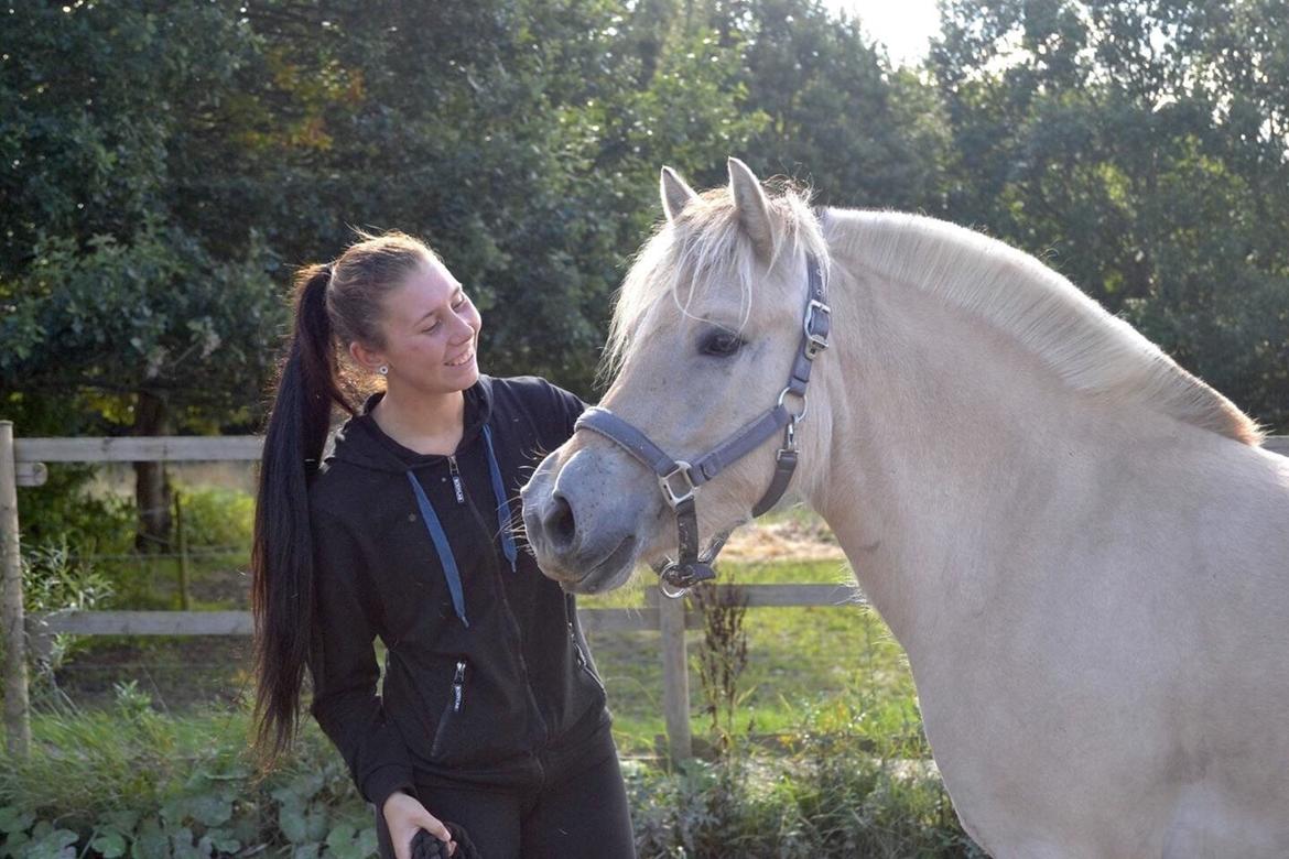 Fjordhest Hjorthøj's Tro billede 8