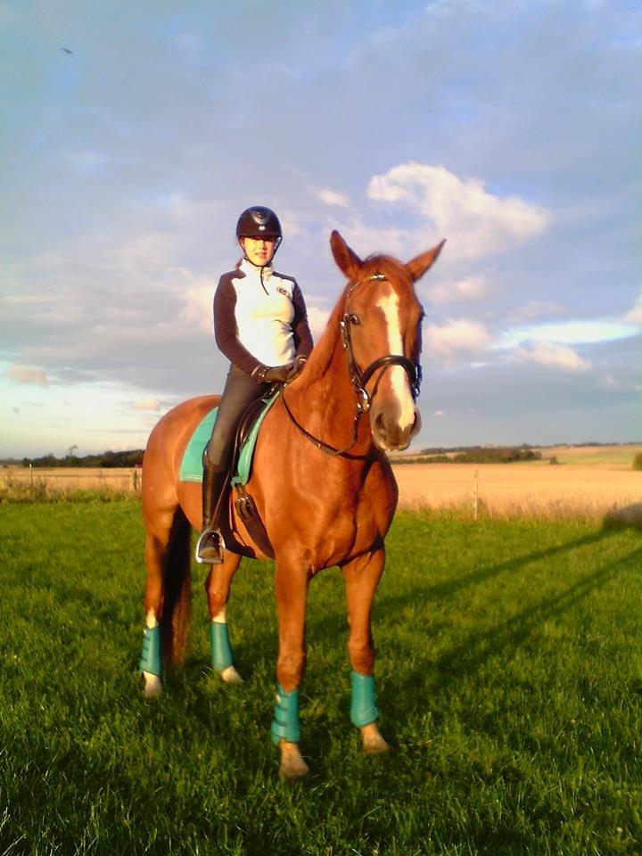 Dansk Varmblod Elektro - Aften ridetur:) billede 4