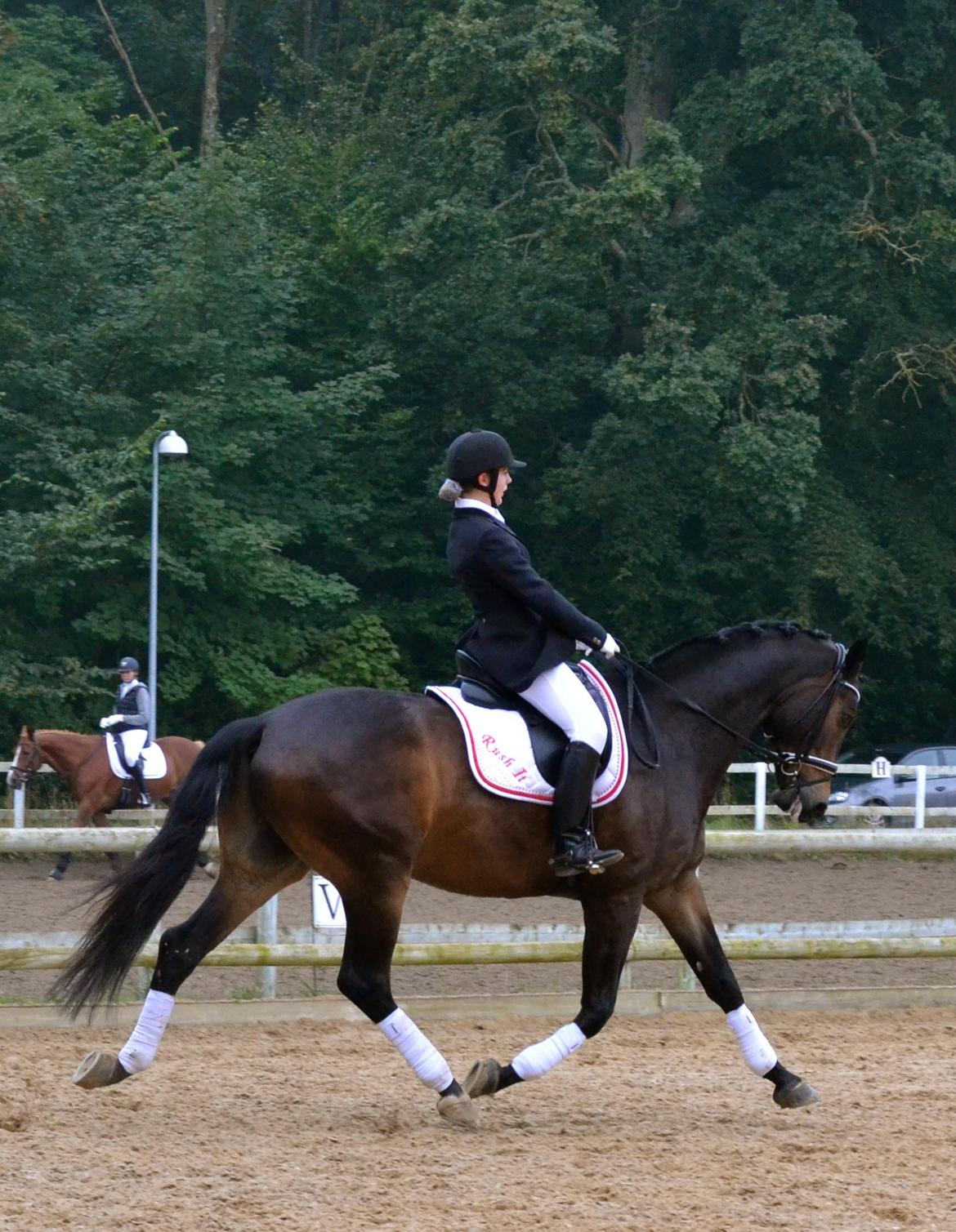 Dansk Varmblod Rush it billede 1