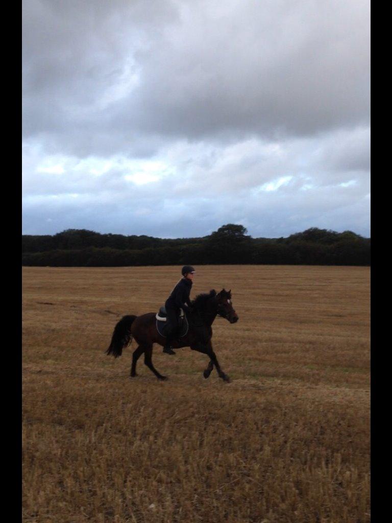 Connemara Two Step billede 3