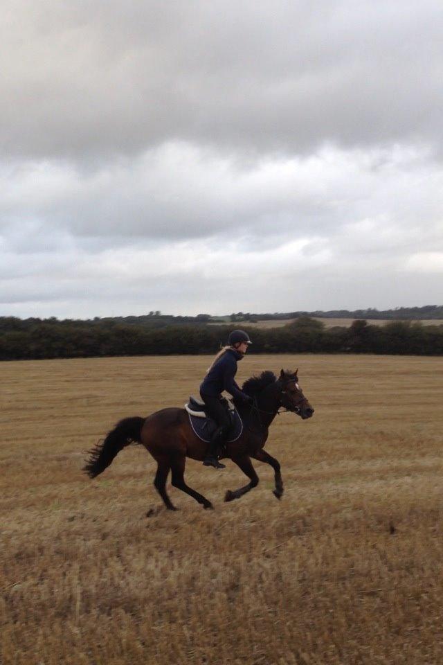 Connemara Two Step billede 5