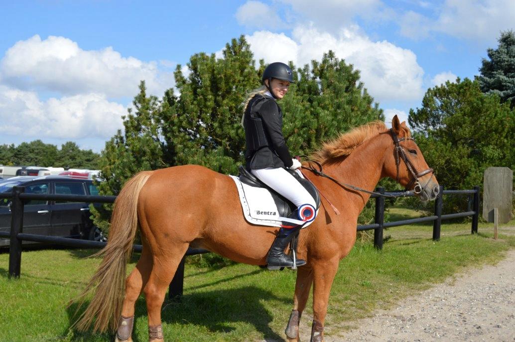 Anden særlig race Lykkelundens Jackpot billede 11