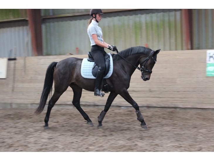 {{currentPhoto.altText}} billede {{currentPhoto.number}}