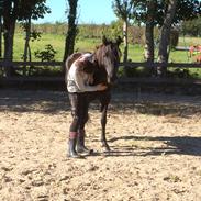 New Forest Vestergårds Naomi