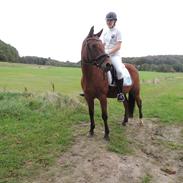 Anden særlig race Roosgårdens Camaro