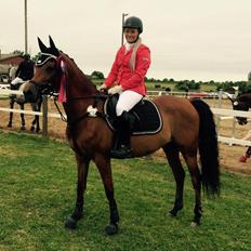 Arabisk fuldblod (OX) Anaya el karmdal oc ox